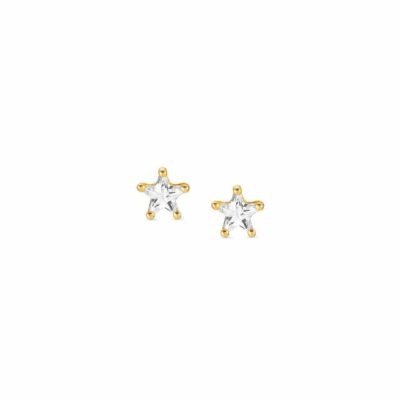 Women Nomination  | Sentimental Earrings, Star Yellow Gold